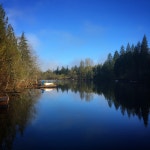 Take What You Like. There is a wonderful generosity in the… | by Nancy Churchill | Medium Take What You Like