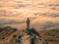 6 Patterns I Noticed After Generating 2,880 Clicks from Google Discover | by Duncan Elder | The Startup | Apr, 2022 | Medium 6... 