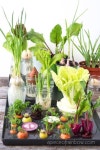 Plants can regrow, why cant human beings? | by Saba Rahman | Sep, 2020 | Medium Plants can regrow, why cant human beings?