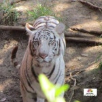Photography | by Goo Search Updates | Medium Photography