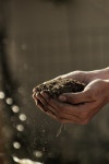 Have You Ever Really Thought About Soil? | by Richard Gordon | Medium Have You Ever Really Thought About Soil?