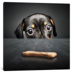 Tips or Tricks?. If you are familiar with my Medium, you… | by Deby | Medium Tips or Tricks?