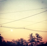 I reached for you. Like a blossom to the sun | by Cara Riccio | Medium I reached for you