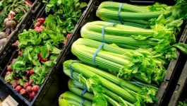 Day 30. I’ve decided that for every day the… | by Starlit Pope | Medium Day 30