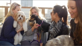 How To Train Your Pup For Life On The Go | by Puppy Mama | Medium How To Train Your Pup For Life On The Go