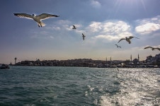 Moving to a New City.. Can You Do It? | by ZainabNur | Sep, 2020 | Medium Moving to a New City.. Can you do it?