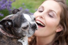 My Dog, the Zen Master. by Julie Bolitho | by Julie Bolitho | Medium My Dog, the Zen Master