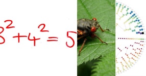5 stories about Math curated by Paulo Borelli - Medium