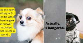 8 stories about Humor curated by Brian - Medium