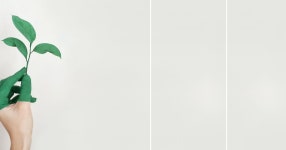 List: Public List | Curated by Anmar | Medium