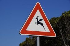Dealing With The Human Road Runner Employee | by Robert Bacal | The World Of Work | Medium Dealing With The Human Road Runner... 