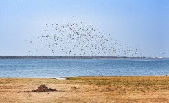 Millionaire Guide On Places To Visit In Chhattisgarh | Make Travel India | by SR. TECH WORLD | Medium Millionaire Guide On Places... 