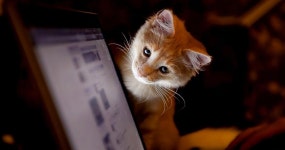 Closures. Closures are an essential part of… | by John Eckert | Medium Closures