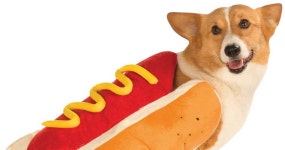 SnykCon CTF 2021 — Not Hotdog. Cracking RSA with food | by OTR | Medium SnykCon CTF 2021 — Not Hotdog