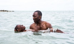 Moonlight — Review. Based on Tarrell McCraney’s largely… | by Will Daniel | Panel & Frame | Medium Moonlight — Review