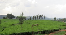 Country Profile UGANDA. About Uganda | by Uhusiano Capital | Country Profiles | Medium Country Profile UGANDA