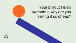 Your product is awesome, why are you selling it so cheap? Pt.1 | by Adam Cook | Airtree | Medium Your product is awesome, why are... 