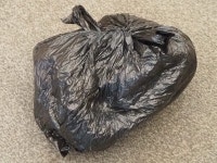 Revenge of the Pooch. It’s what “doggerel” is all about! | by John Welford | Medium Revenge of the Pooch