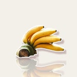 The banana. The white monkey | by Nuttanicha Phanphoonsap 2110111111039 | Medium The banana