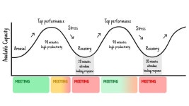 We Work Best in 90-Min Cycles — Why Work 9 to 5? | by Joseph Mavericks | The Startup | Medium We Work Best in 90-Min Cycles... 