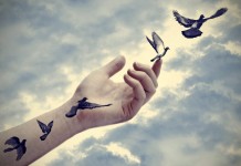 The Freedom in Letting Go. I had a group of friends over the... Patterson | Ascent Publication | Medium The Freedom in Letting Go