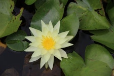 Why am I Procrastinating?. You are not alone, everybody… | by Lize Richmond | Medium Why am I Procrastinating?