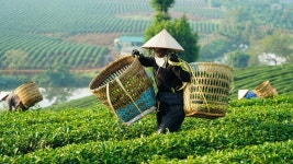 Jumpstarting the savings journey for low- and moderate-income people in Vietnam | by MicroSave | Medium Jumpstarting the savings... 