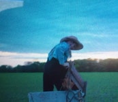 At Eternity’s Gate. He went south | by Richard Palmquist, DVM GDVCHM CCHVM | Medium At Eternity’s Gate