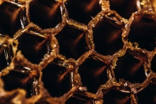 A Broken Glass Jar of Honey. Poem | by Janine Friedrich | Write Under the Moon | Medium A Broken Glass Jar of Honey