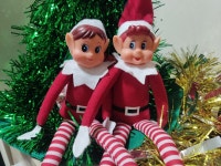 This Year I’m Elf-on-a-Shelf-ing. So far, it’s been a great... The Parenting Portal | Medium This Year I’m Elf-on-a-Shelf-ing