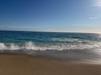 Surf in the Ocean. Because of the mucilaginous material… | by Dr. Seema Patel (PhD) | The Daily Cuppa Grande | May, 2025... 