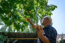 A new source of water revives lands and lives in Kyrgyzstan’s hottest region | by Aichurek Zhunusova | World Food Programme... 
