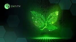 Supercharge Your ESDT Investments With Entity’s Staking Farms | by Entity: The Growth Hub | Medium Supercharge Your ESDT... 