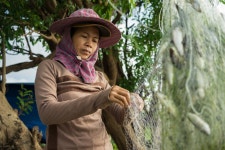 The world’s forgotten fish. | Flipboard