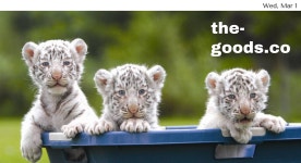 The Goods / Mar 1, 2017. Welcome to March :) | by The GOODS | Medium The Goods / Mar 1, 2017