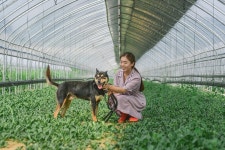 Paige: Farm Life. Girl shots: | by Cheah Wenqi | GOFAR2K17 | Medium Paige: Farm Life
