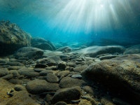 Sea to See. A poem back to water. | by Melissa Bee | The Wide Open Space. | Medium Sea to See.
