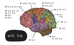 [번역] 우리 뇌는 컴퓨터와 얼마나 다른지!. ..를 뇌 신경 가소성 측면에서 살펴보았다. | by 이영규 | Medium [번역] 우리 뇌는 컴퓨터와 얼마나... 