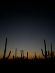 I first met C.. The following day airplanes hit the… | by **The Got to Get Home Guy | Medium I first met C.