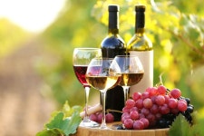 Wine — A Versatile Beverage of Culture and History | by Ishikacmi | Medium Wine — A Versatile Beverage of Culture and History