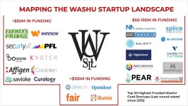 Mapping the WashU Startup Landscape | by Michael Spiro | Ground Up Ventures | Medium Mapping the WashU Startup Landscape