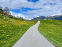 Beyond Suffering: The Path and Its Dissolution | by Athena Nhan Ta | May, 2025 | Medium Beyond Suffering: The Path and Its... 