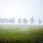 Fog Art, Rain, A Dreamy And Mysterious World | by pockett dessert | SNAPSHOTS | Medium Fog Art, Rain, A Dreamy And Mysterious World