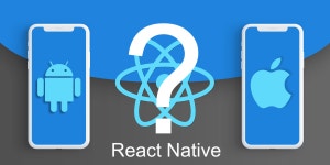 React Native: The Quickest Way to Use Any Native iOS or Android... Programming React Native: The Quickest Way to Use Any Native... 
