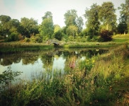 The Story of the Burgie Arboretum | by Adventures in Preservation | Adventures in Preservation | Medium The Story of the Burgie... 