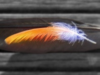 Overview of Performance and Load Testing with Apache JMeter | by Logicify | Medium Performance and Load Testing with JMeter: A... 