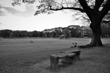 Politics Schmolitics. A Prophetic Four-Perspective Short… | by Gene Paolo Gumagay | Medium Politics Schmolitics