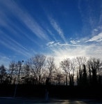 Pathways. A Haiku | by Tracy Aston | Haiku Hub | Medium Pathways