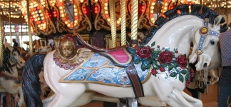Get Me Off the Fat Merry-Go-Round! | by Gail Trahd | Medium Get Me Off the Fat Merry-Go-Round!