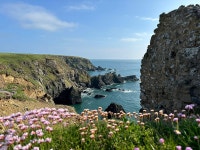 The Day I Started Seeing Swallows | by Hannah Wilkinson | The Narrative Arc | Medium The Day I Started Seeing Swallows